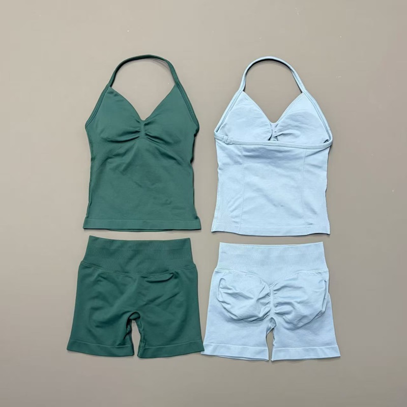 2 Piece Gym Set Women Seamless – Pilates Yoga Gear Bewertung und Preis