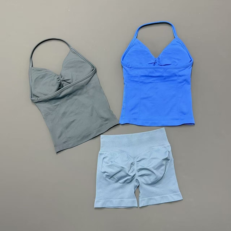 2 Piece Gym Set Women Seamless – Pilates Yoga Gear Bewertung und Preis
