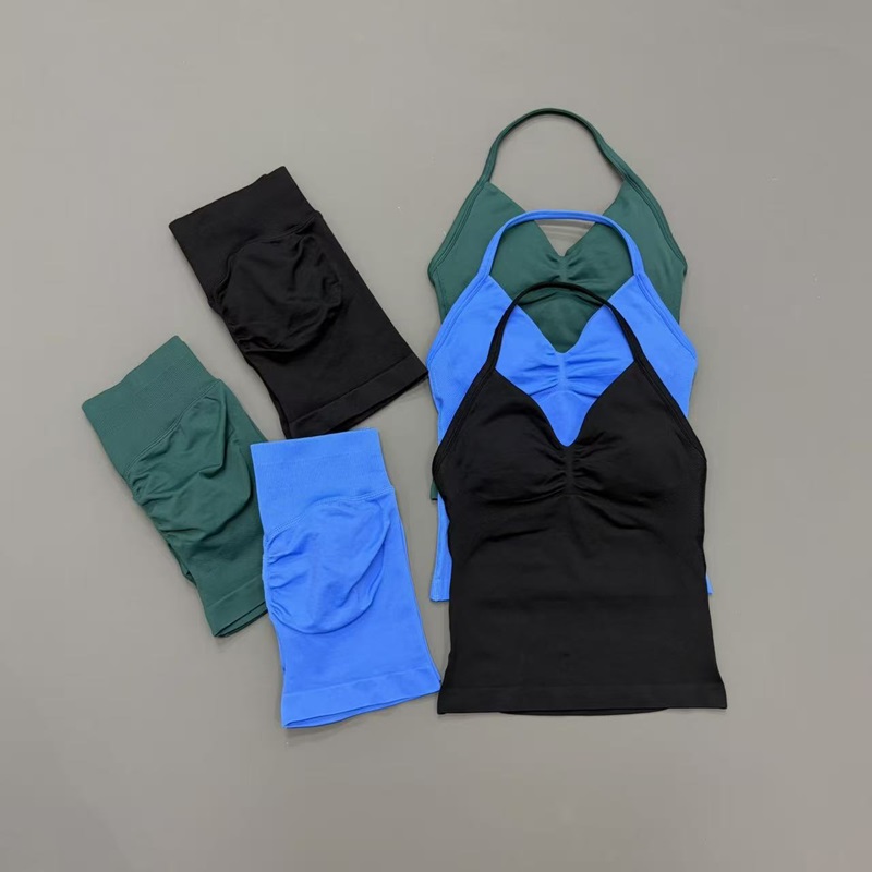 2 Piece Gym Set Women Seamless – Pilates Yoga Gear Bewertung und Preis