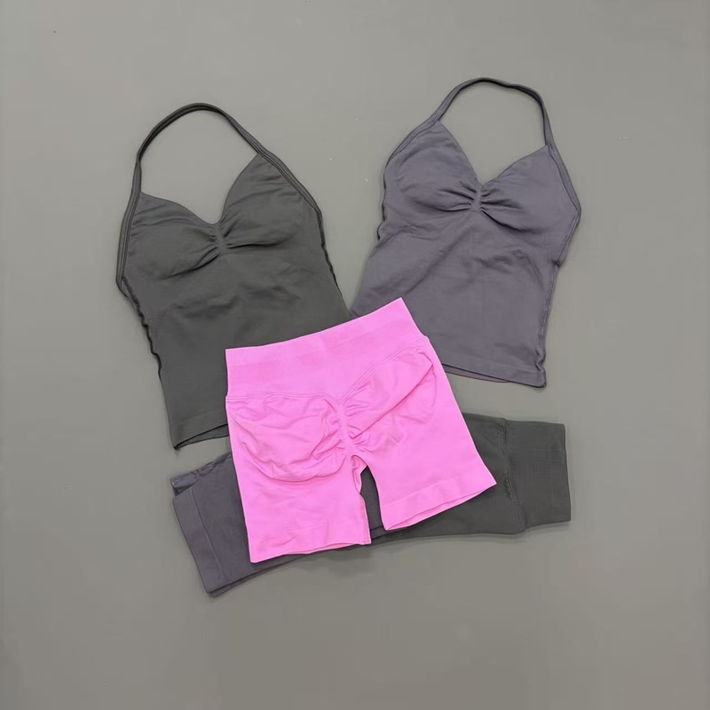 2 Piece Gym Set Women Seamless – Pilates Yoga Gear Bewertung und Preis