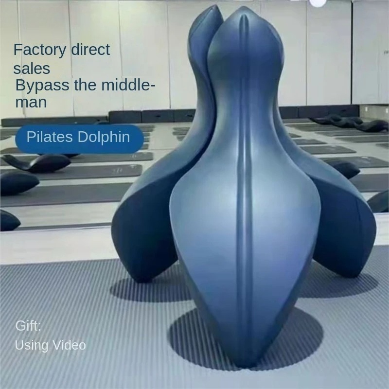 Selfree Pilates Dolphin OOV Pi – Pilates Yoga Video Bewertung und Preis