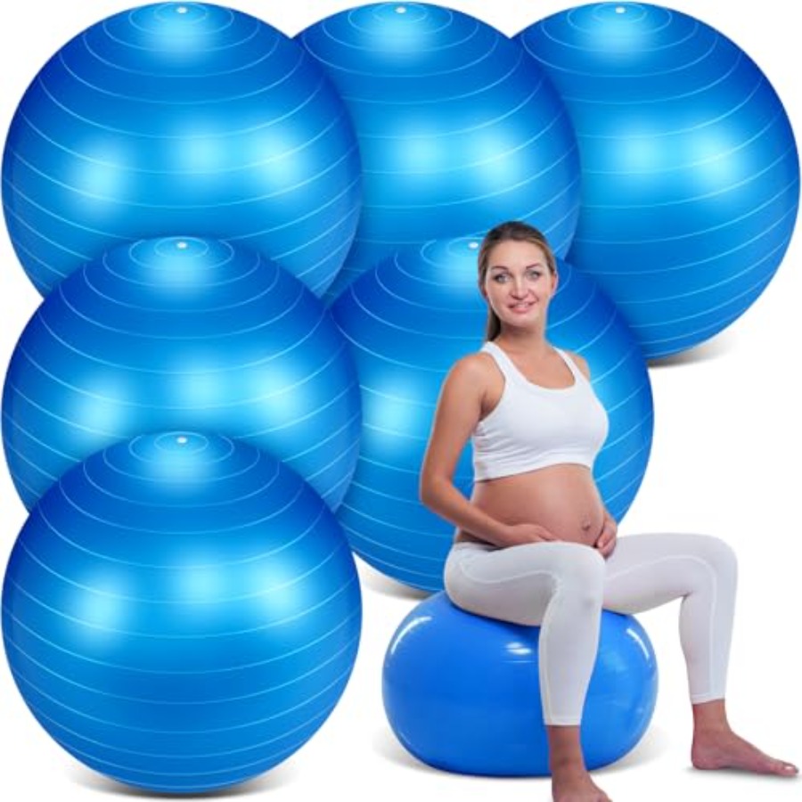 6 Pack Exercise Ball Bulk Infl – Pilates Yoga Pregnancy Bewertung und Preis